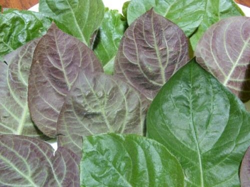 Trẻ[-]bị[-]tiêu[-]chảy:[-]Mẹo[-]dân[-]gian[-]không[-]cần[-]dùng[-]thuốc